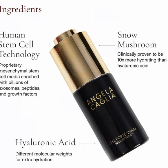 Angela Caglia - 3 in 1 Kit - BRAND NEW! - Picture 4 of 9